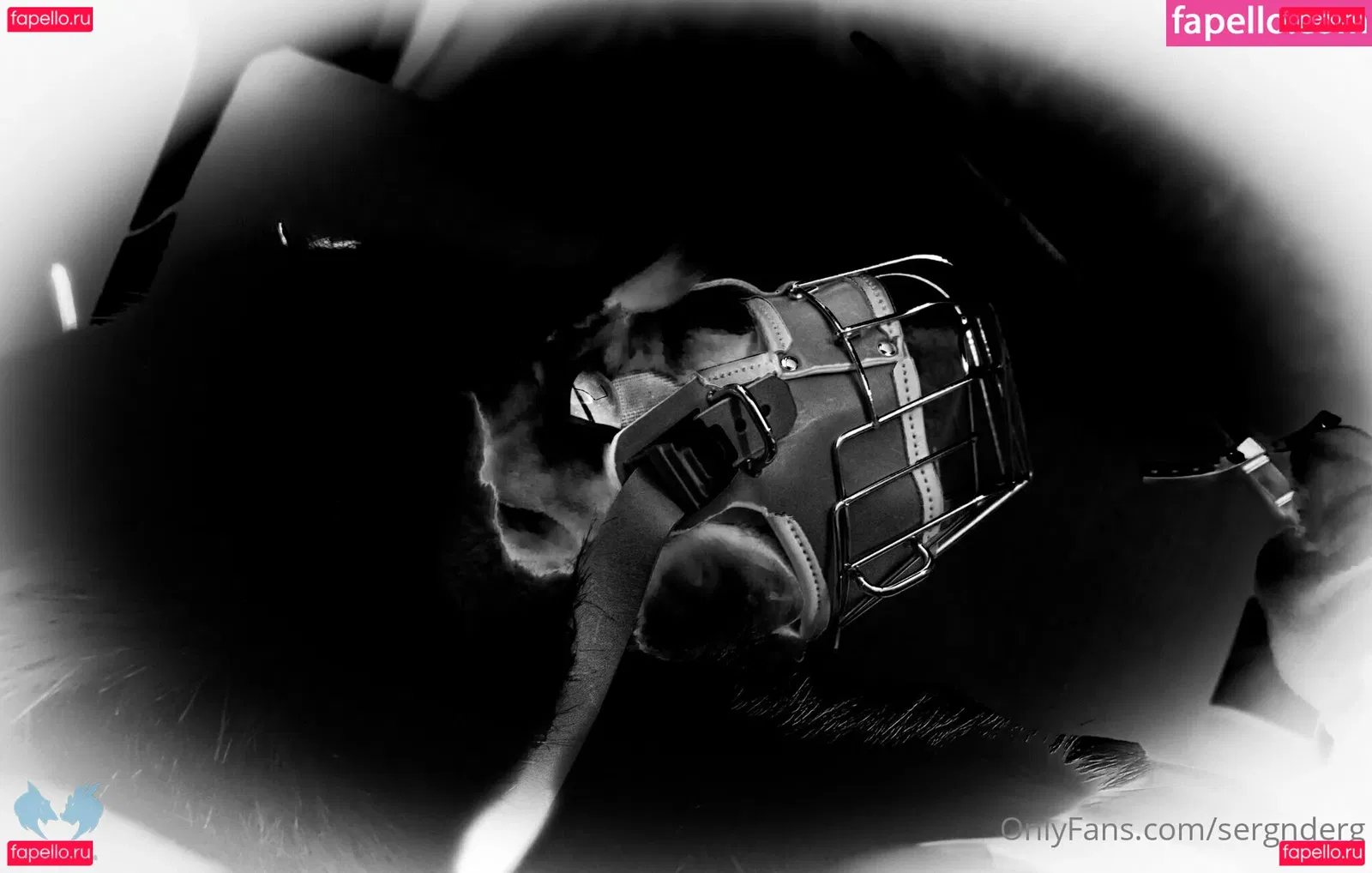 sergnderg Onlyfans Photo Gallery 