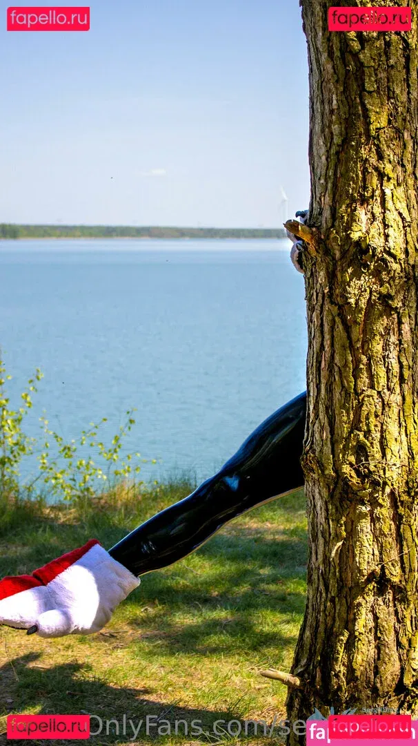 sergnderg Onlyfans Photo Gallery 