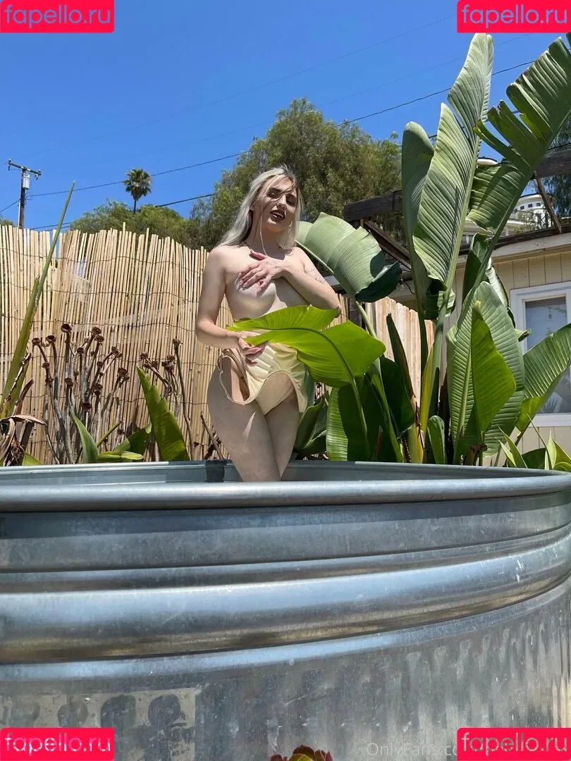 babyfawnx Onlyfans Photo Gallery 