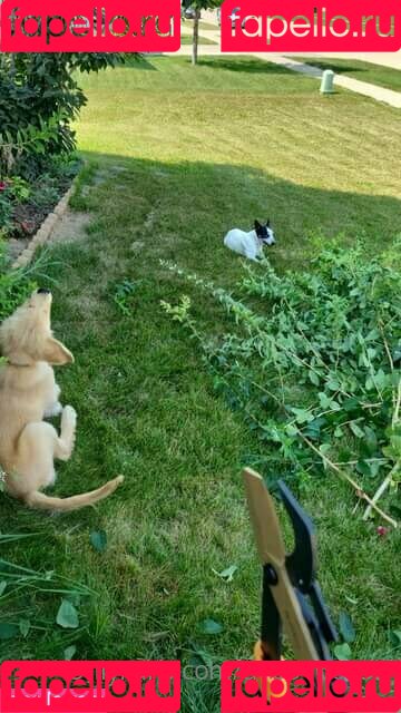 u105166152 Onlyfans Photo Gallery 