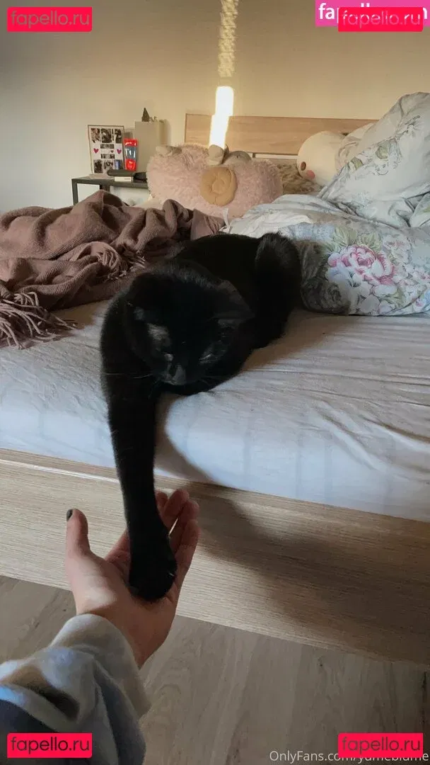 yumeblume Onlyfans Photo Gallery 