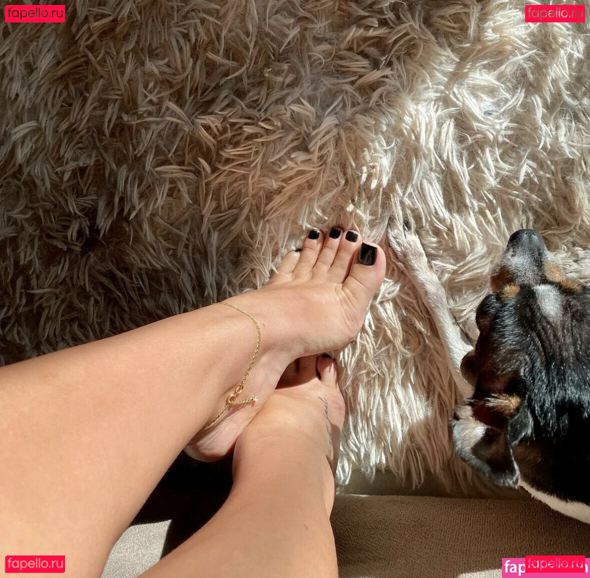 Prii_feet Onlyfans Photo Gallery 