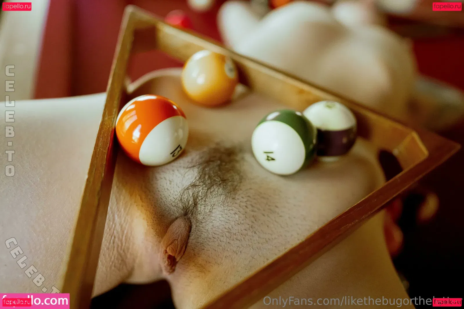 likethebugortheletter Onlyfans Photo Gallery 