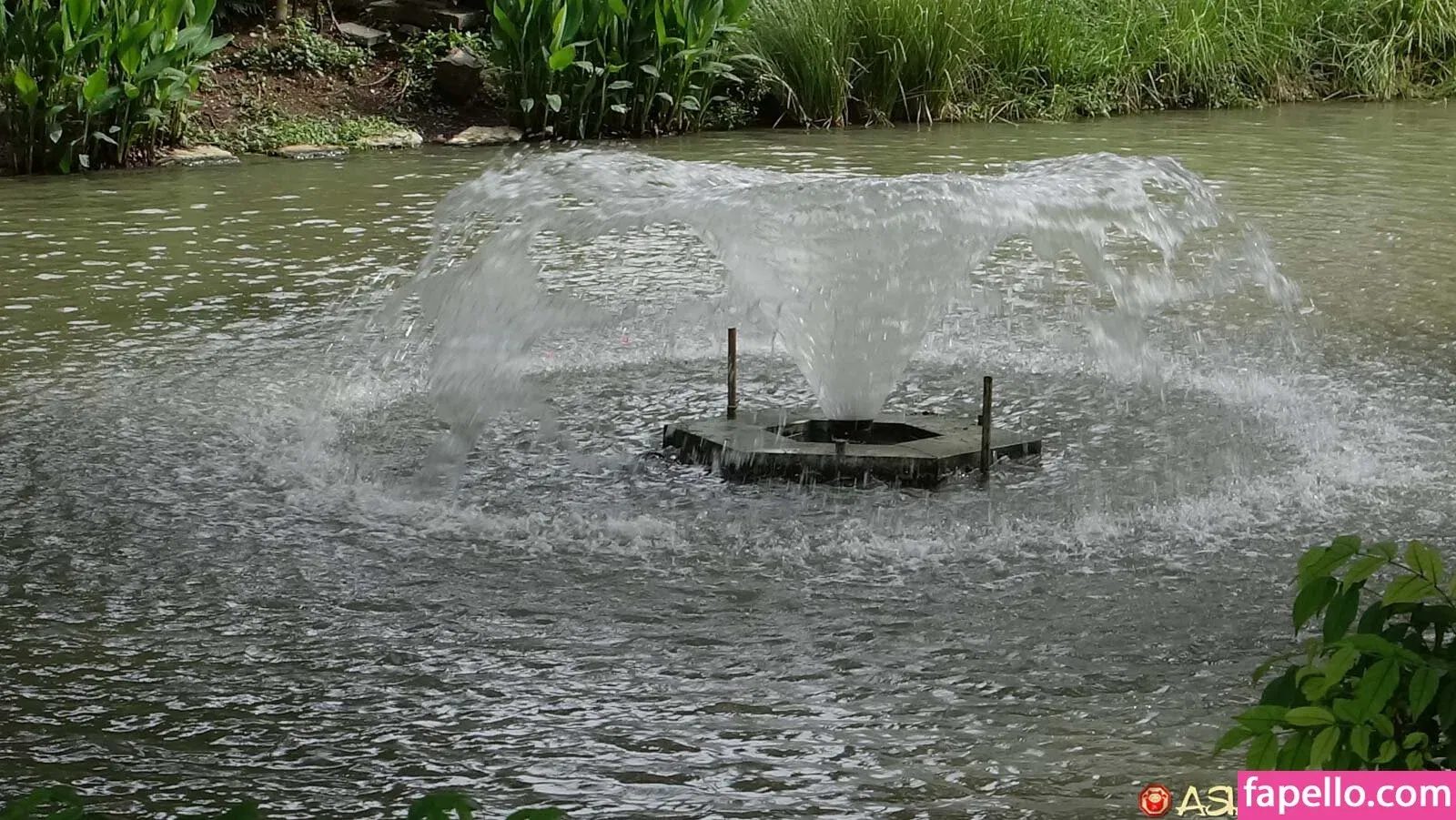 AsianSexDiary Onlyfans Photo Gallery 