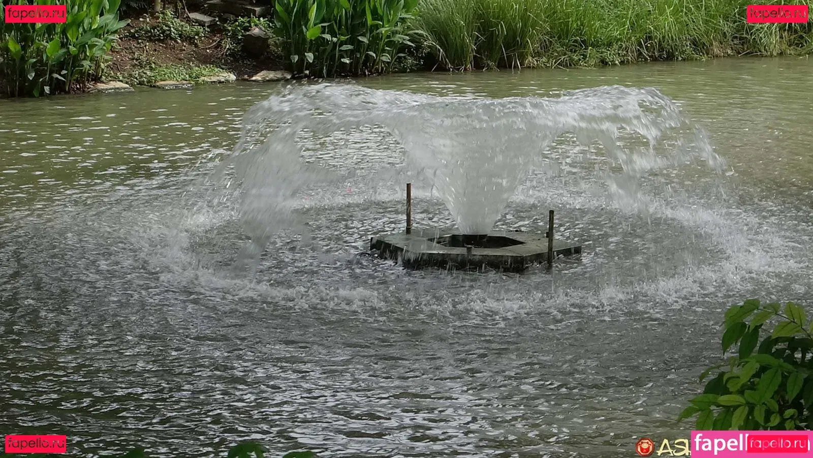 AsianSexDiary Onlyfans Photo Gallery 