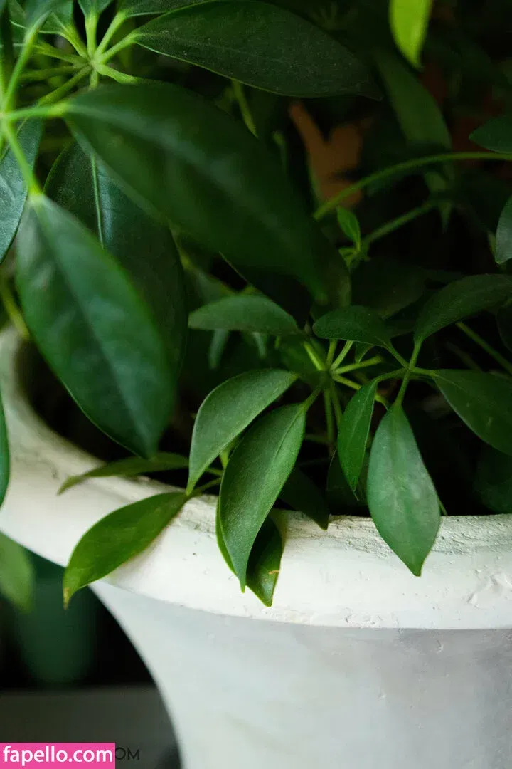 lucylarue Onlyfans Photo Gallery 