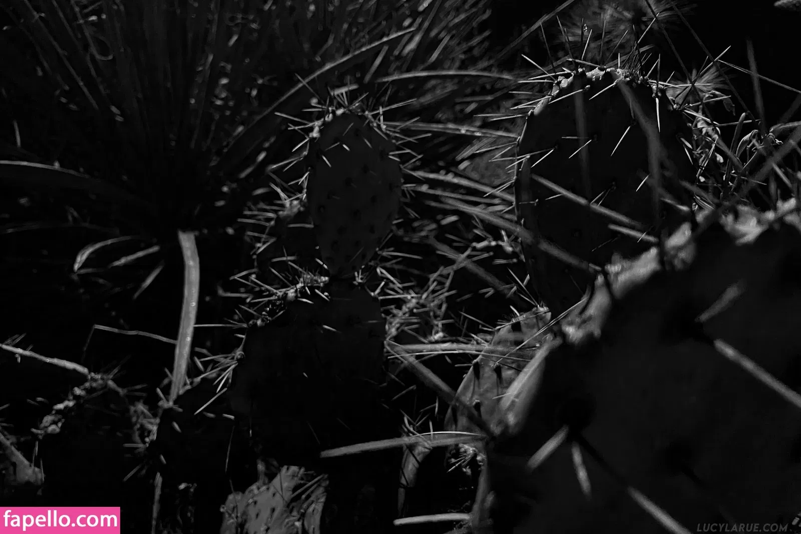 lucylarue Onlyfans Photo Gallery 