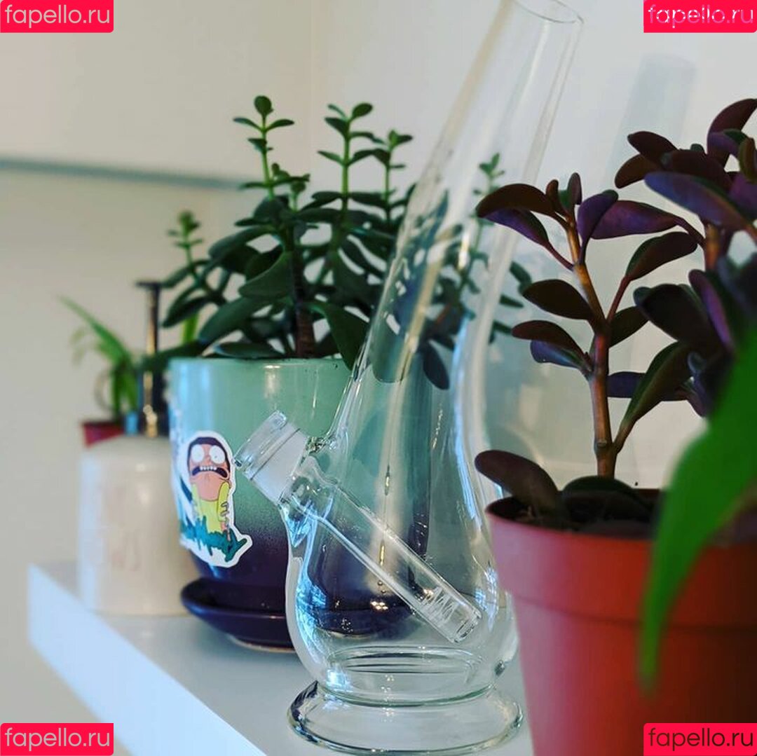 wetrosie Onlyfans Photo Gallery 