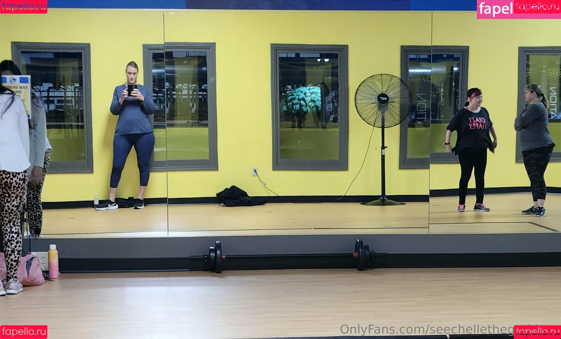 seechellethegoddess Onlyfans Photo Gallery 