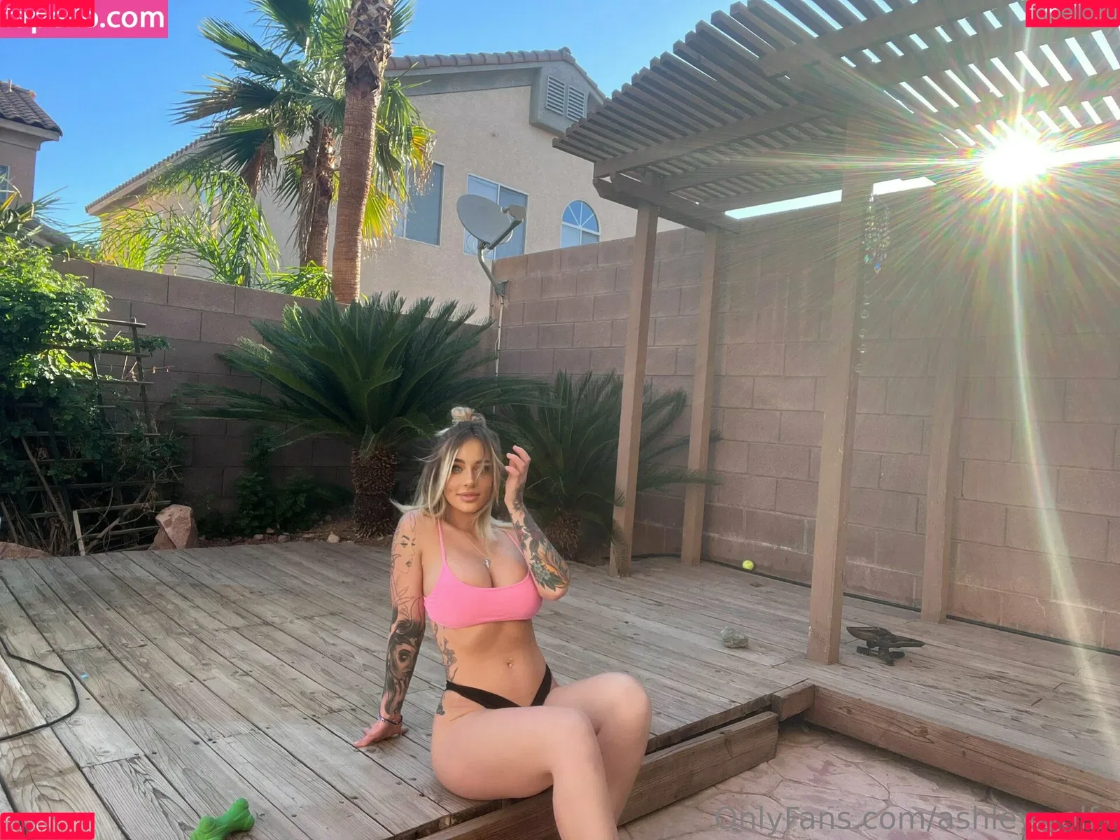 ashleywolfx Onlyfans Photo Gallery 