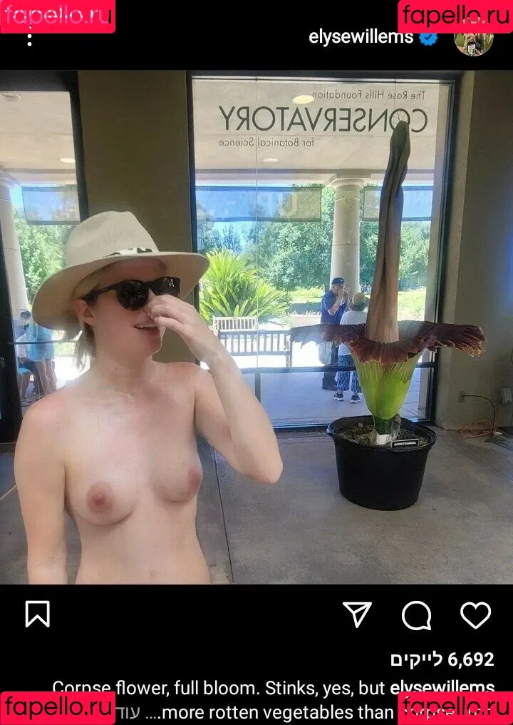 Elyse Willems Onlyfans Photo Gallery 