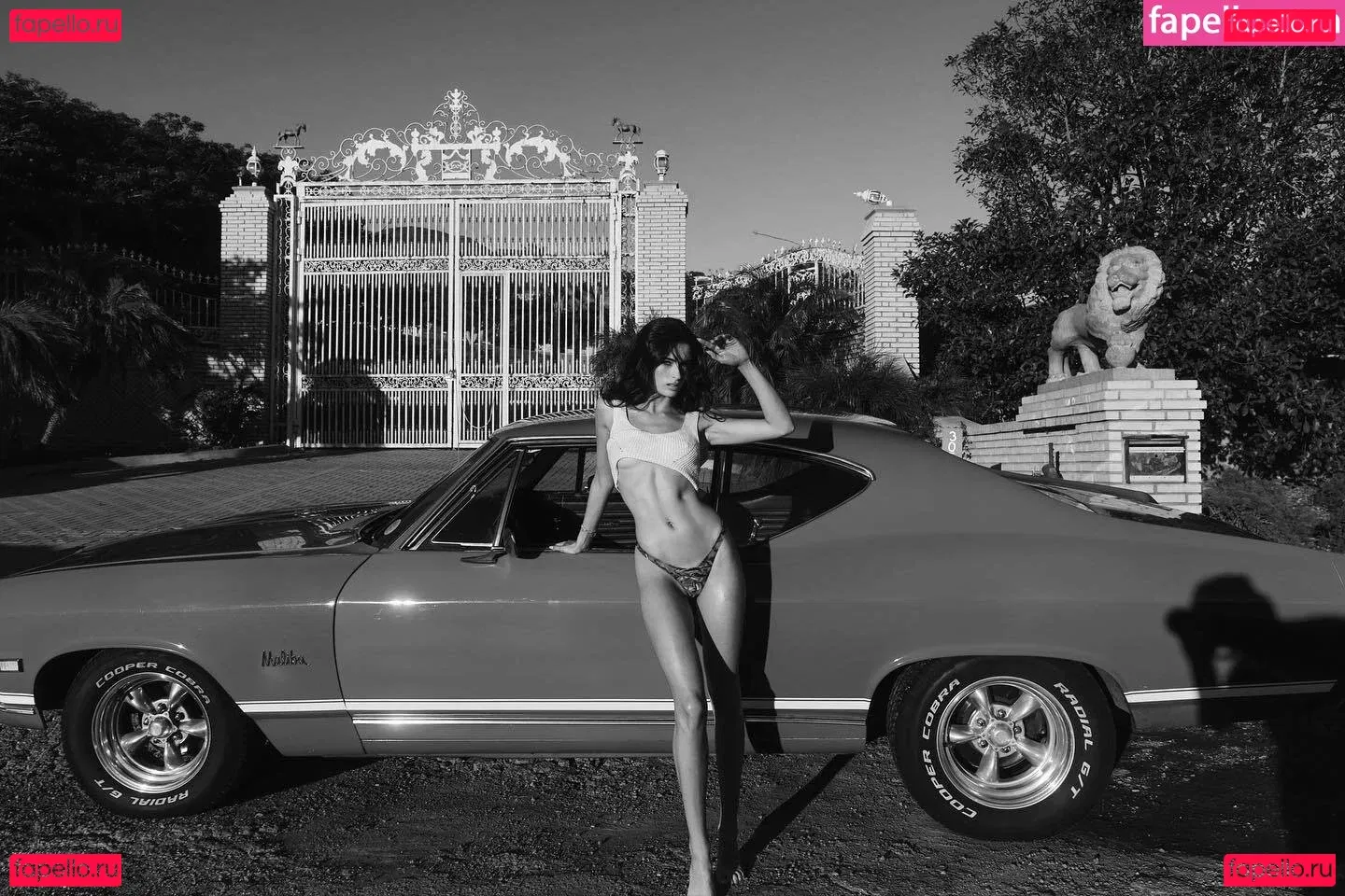 Renee Murden Onlyfans Photo Gallery 