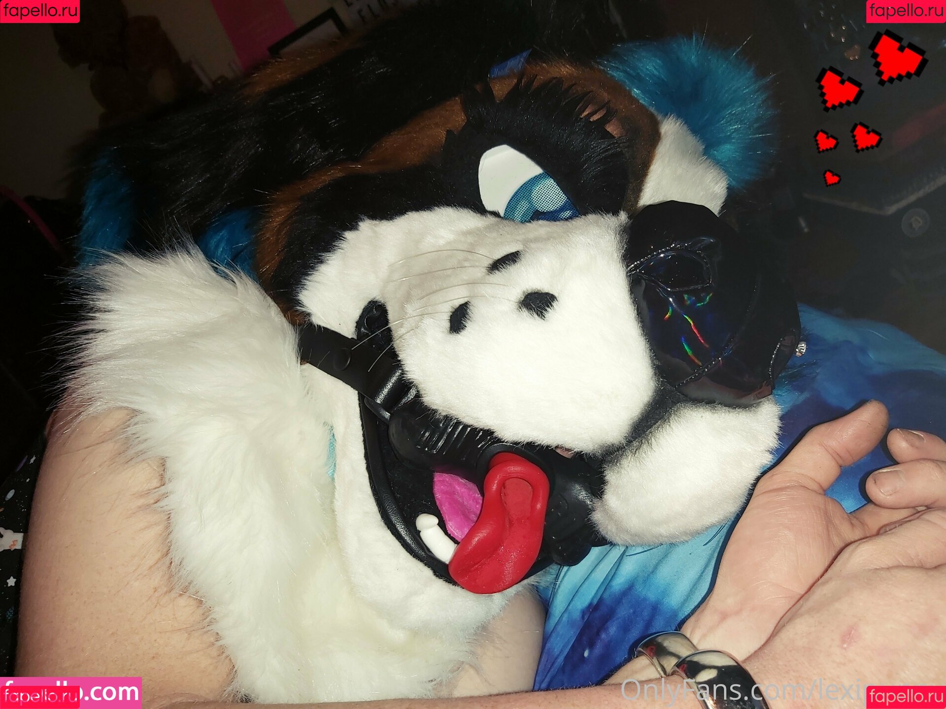 lexipuppy Onlyfans Photo Gallery 