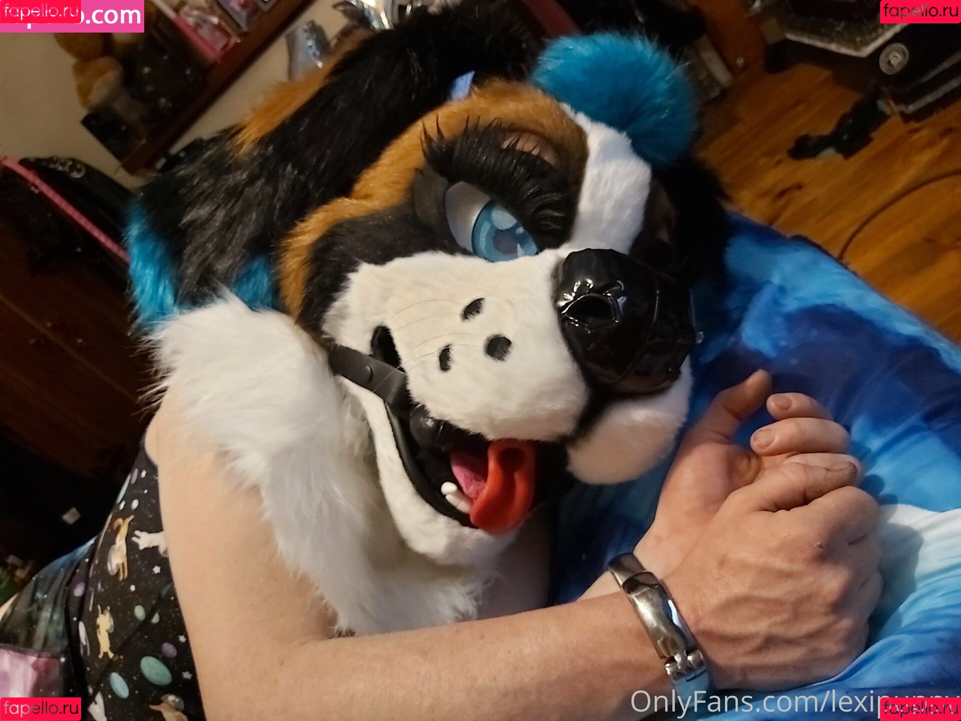 lexipuppy Onlyfans Photo Gallery 