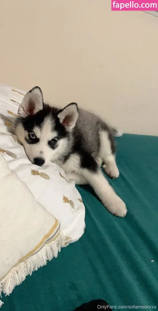 sofiamoonxxx Onlyfans Photo Gallery 