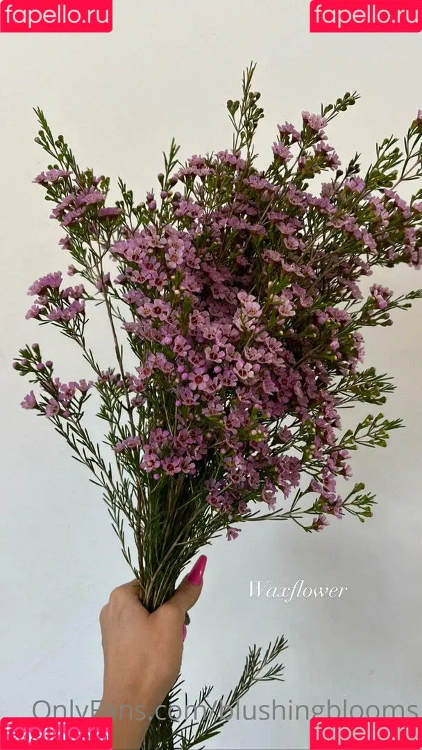 blushingblooms Onlyfans Photo Gallery 