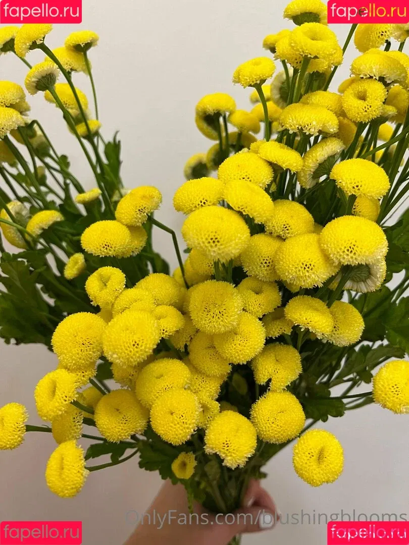 blushingblooms Onlyfans Photo Gallery 