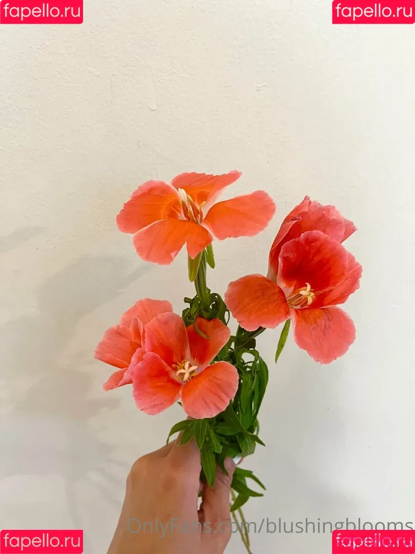 blushingblooms Onlyfans Photo Gallery 