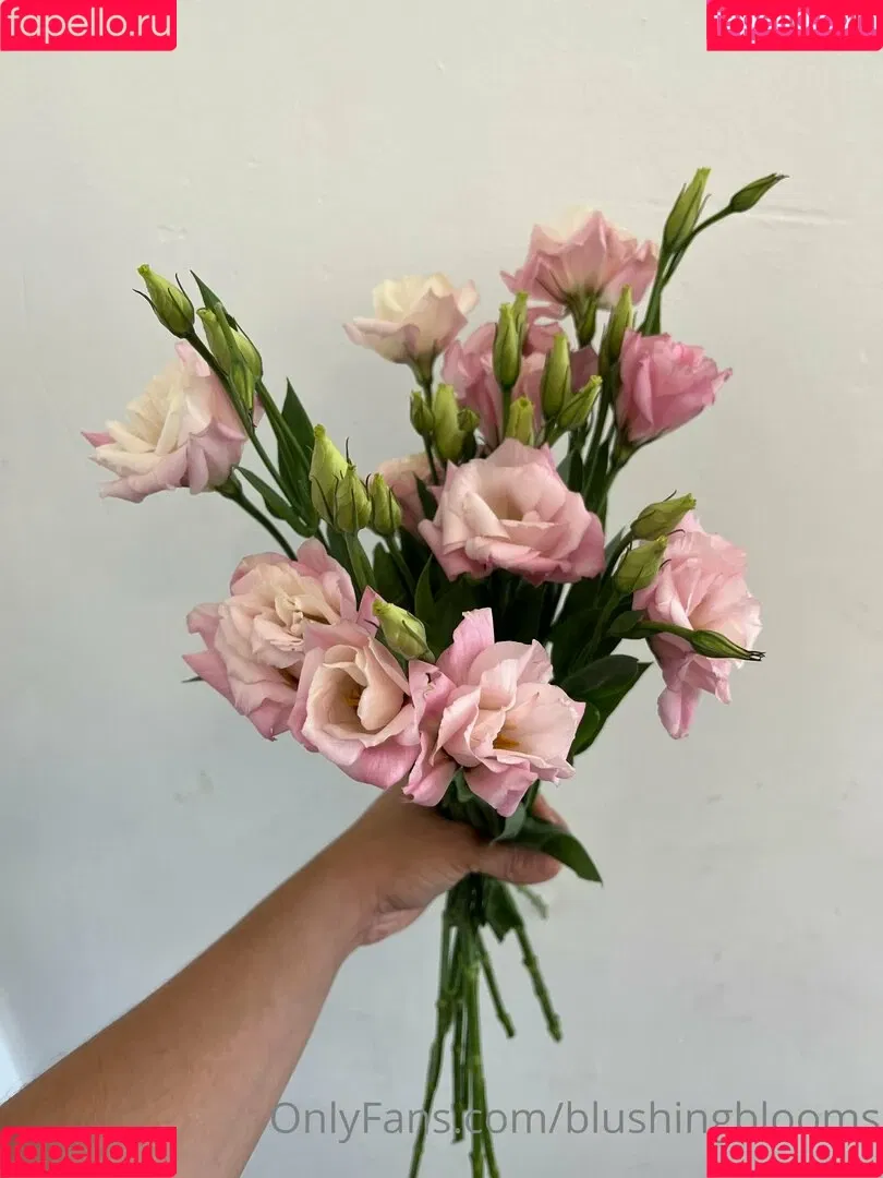 blushingblooms Onlyfans Photo Gallery 