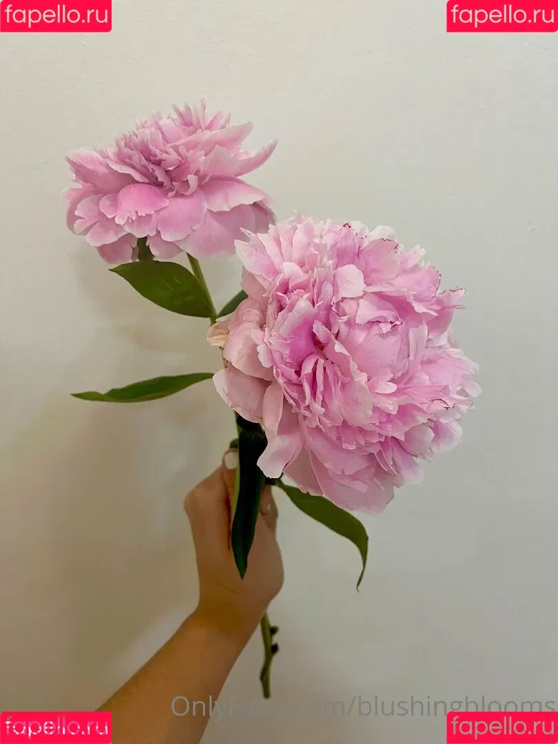 blushingblooms Onlyfans Photo Gallery 