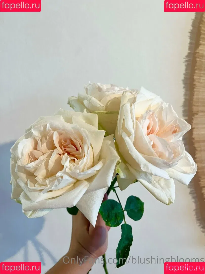 blushingblooms Onlyfans Photo Gallery 