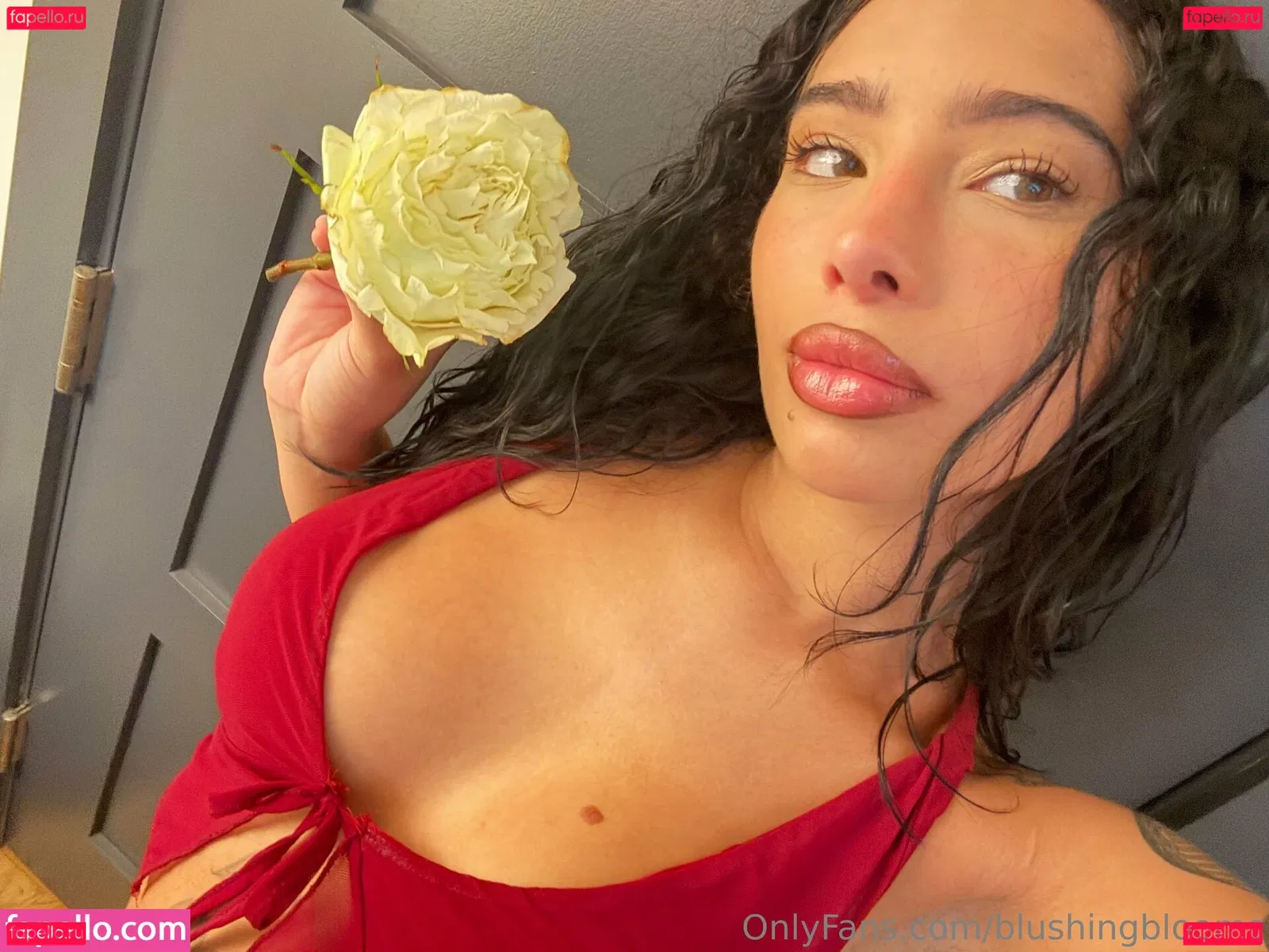 blushingblooms Onlyfans Photo Gallery 