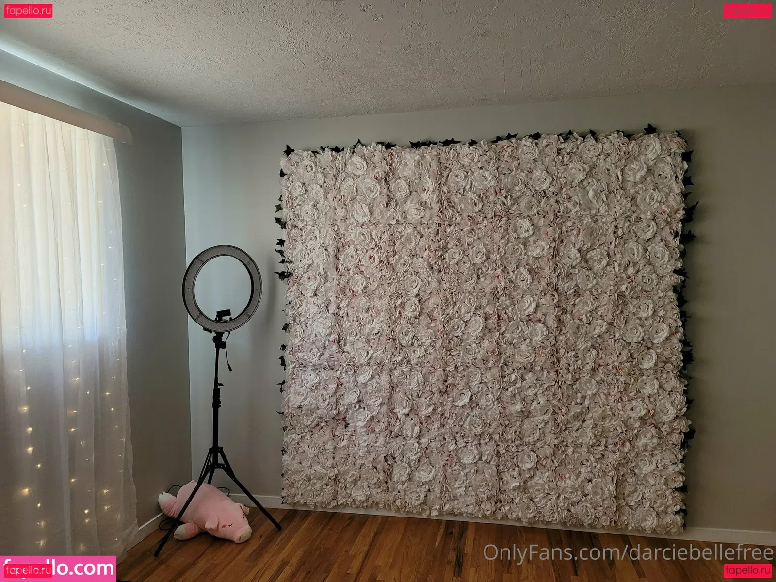 darciebellefree Onlyfans Photo Gallery 