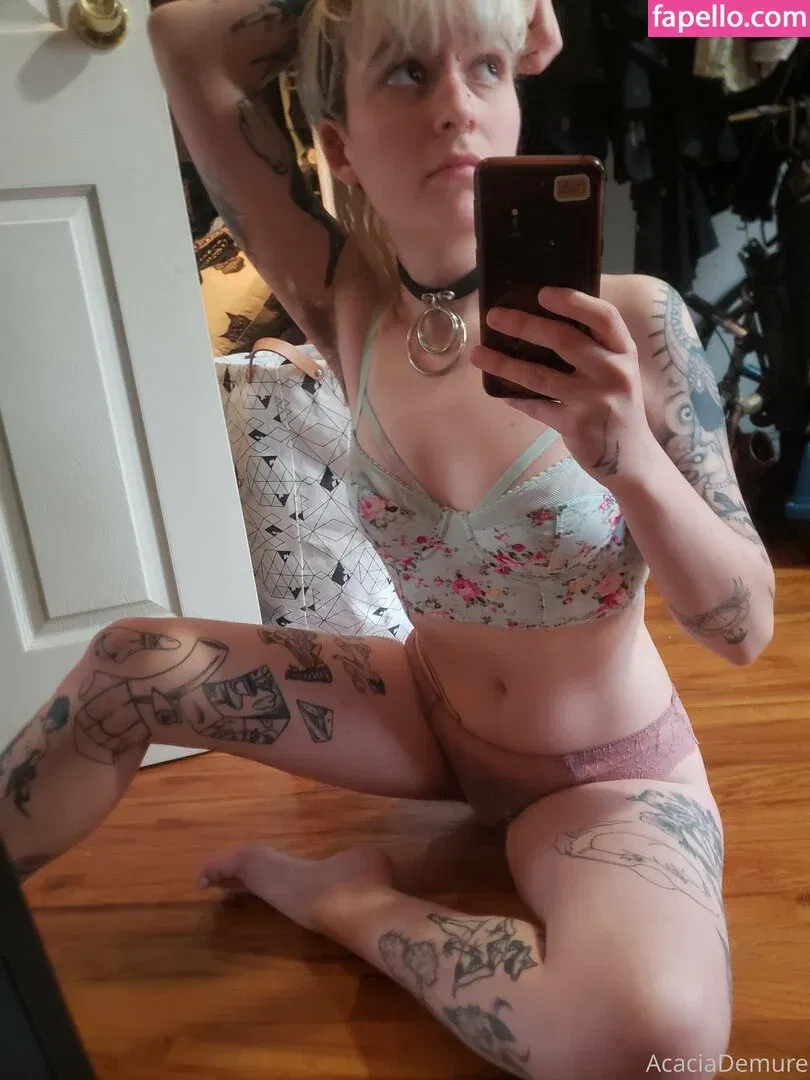 molotovcocktease Onlyfans Photo Gallery 