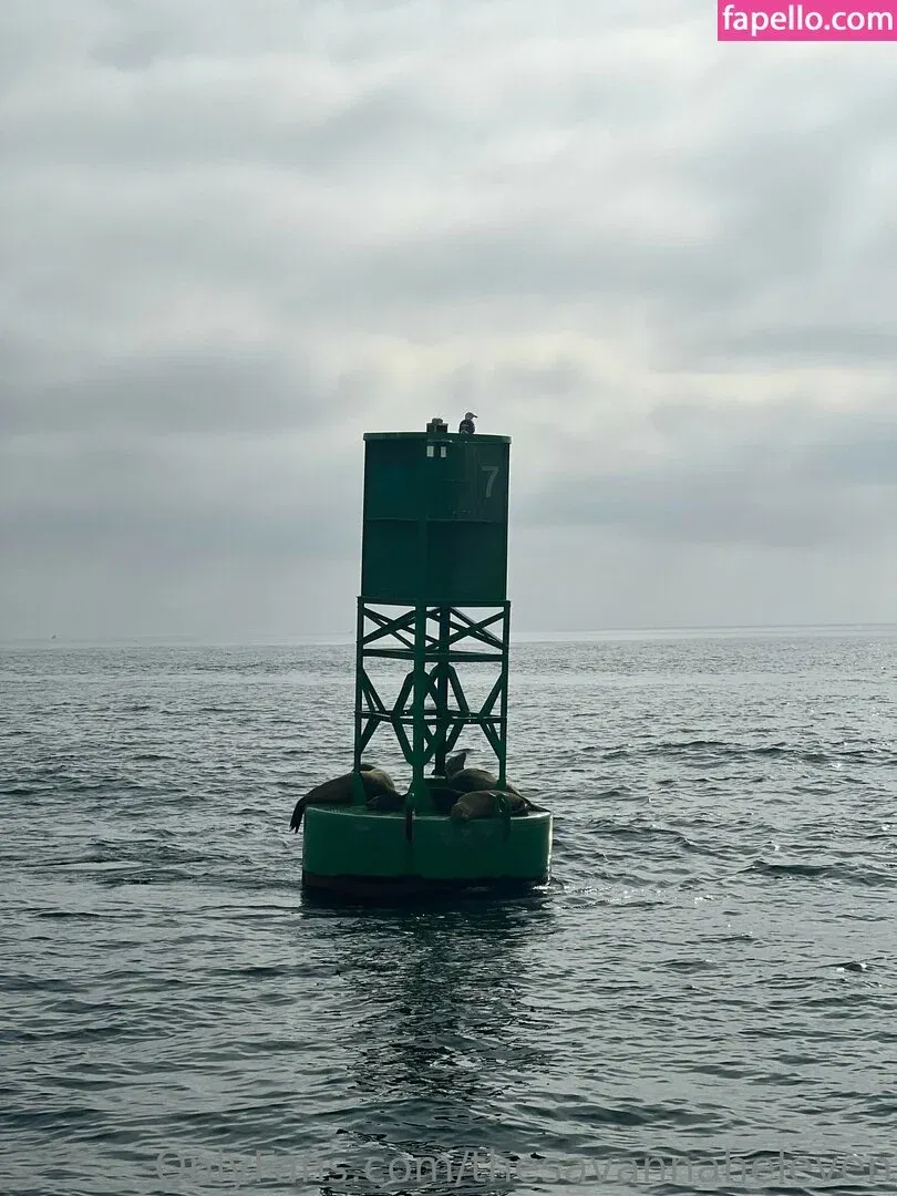 thesavannaheleven Onlyfans Photo Gallery 