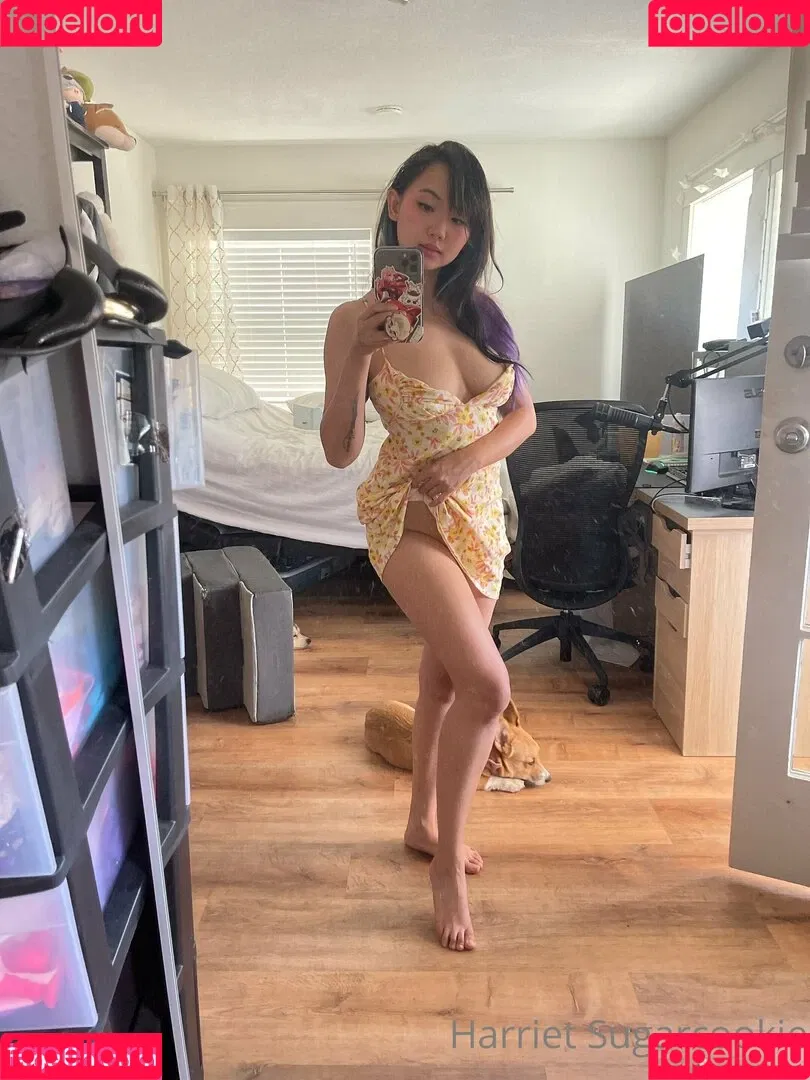 Harriet Sugarcookie Onlyfans Photo Gallery 