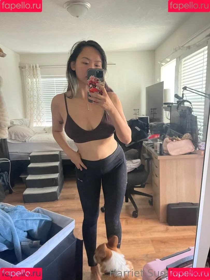 Harriet Sugarcookie Onlyfans Photo Gallery 