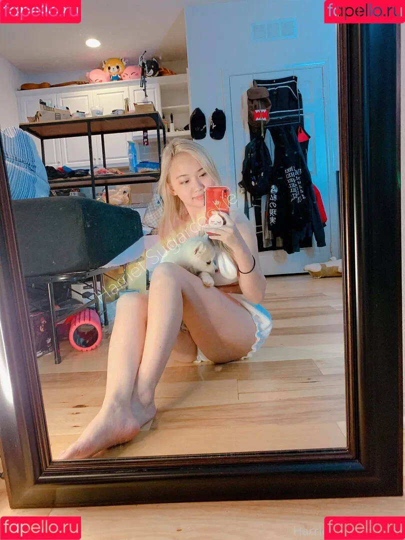 Harriet Sugarcookie Onlyfans Photo Gallery 
