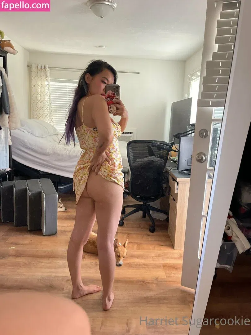 Harriet Sugarcookie Onlyfans Photo Gallery 