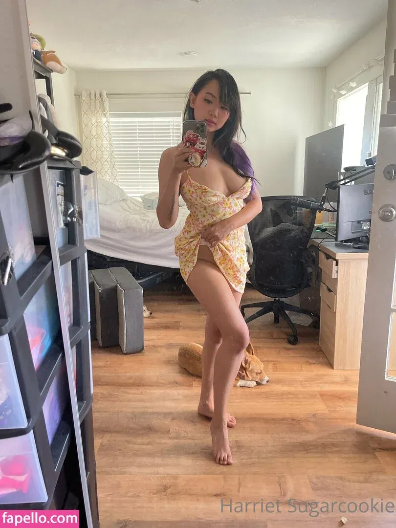 Harriet Sugarcookie Onlyfans Photo Gallery 