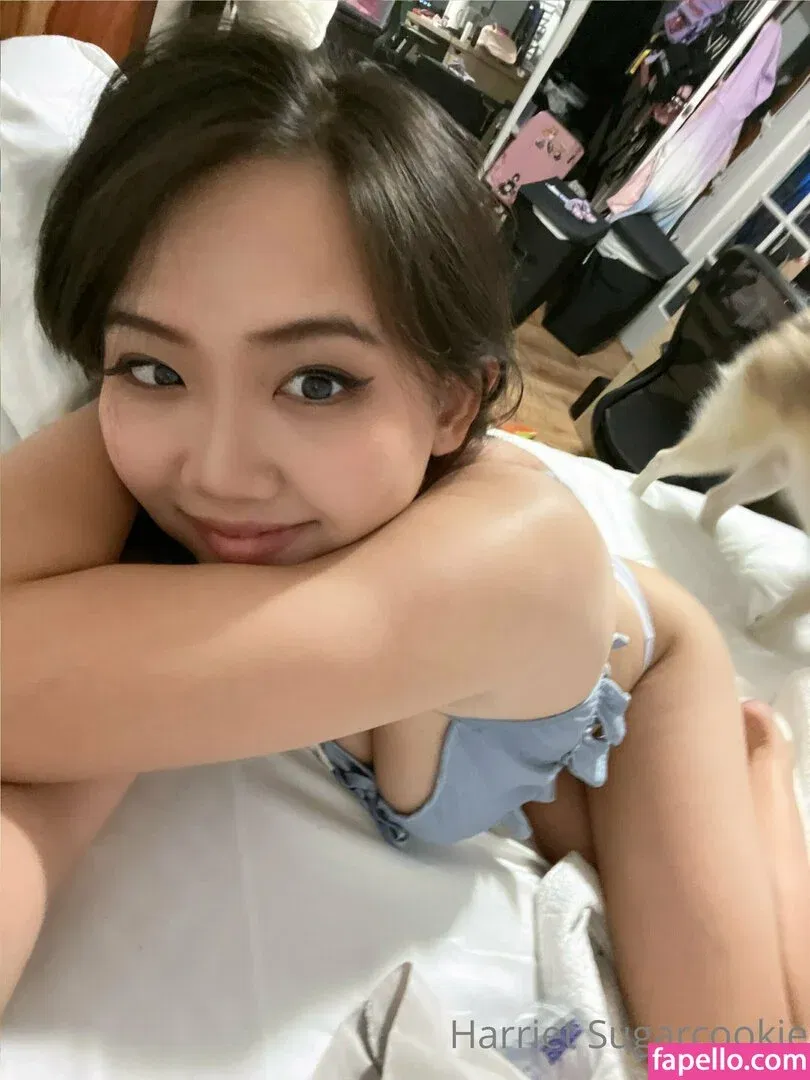 Harriet Sugarcookie Onlyfans Photo Gallery 