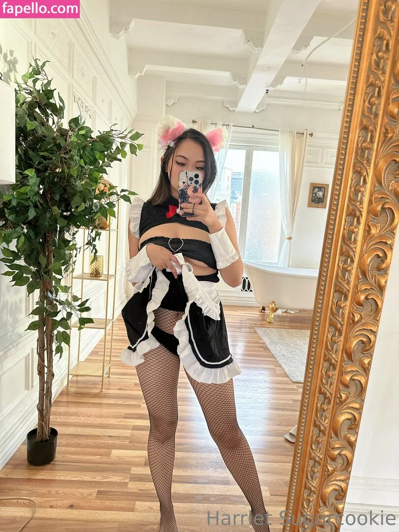 Harriet Sugarcookie Onlyfans Photo Gallery 