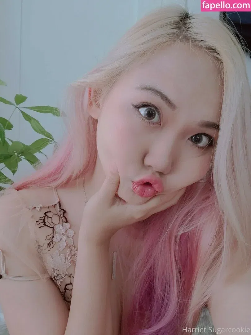 Harriet Sugarcookie Onlyfans Photo Gallery 