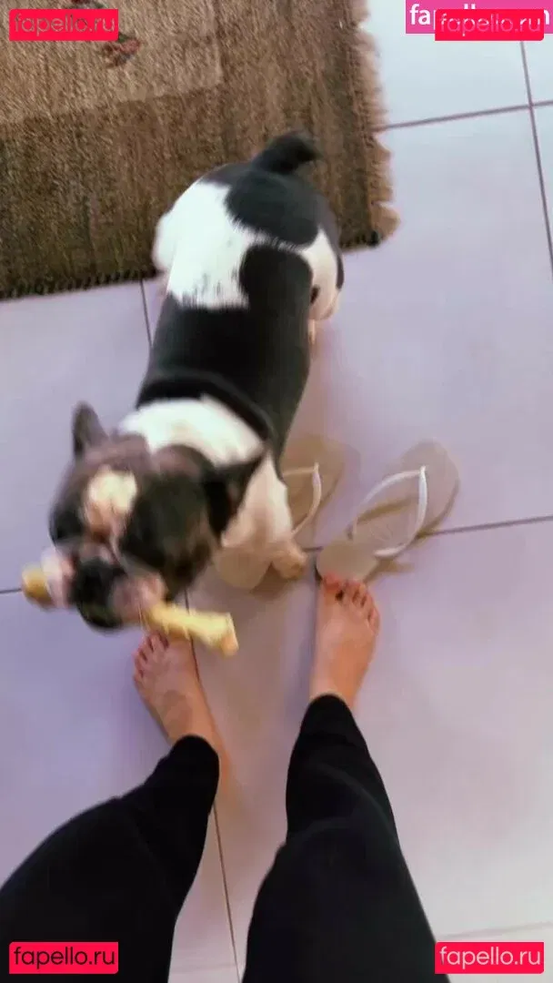 Fernanda Schneider Onlyfans Photo Gallery 