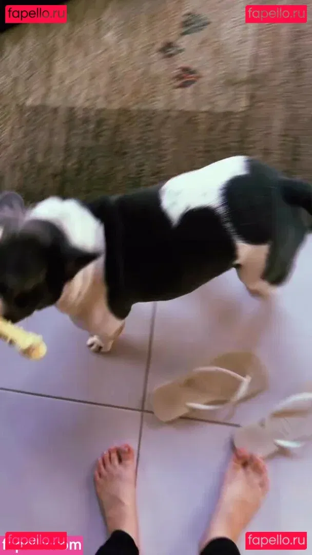 Fernanda Schneider Onlyfans Photo Gallery 