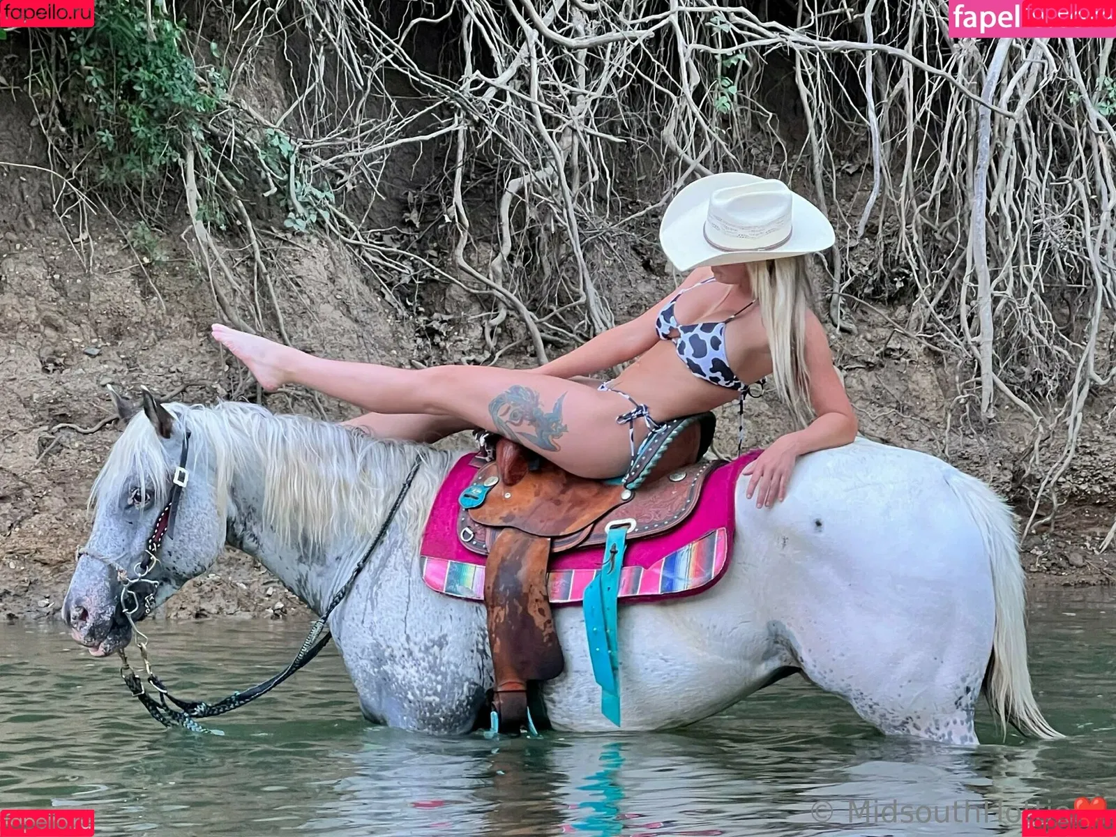 midsouthhottie Onlyfans Photo Gallery 