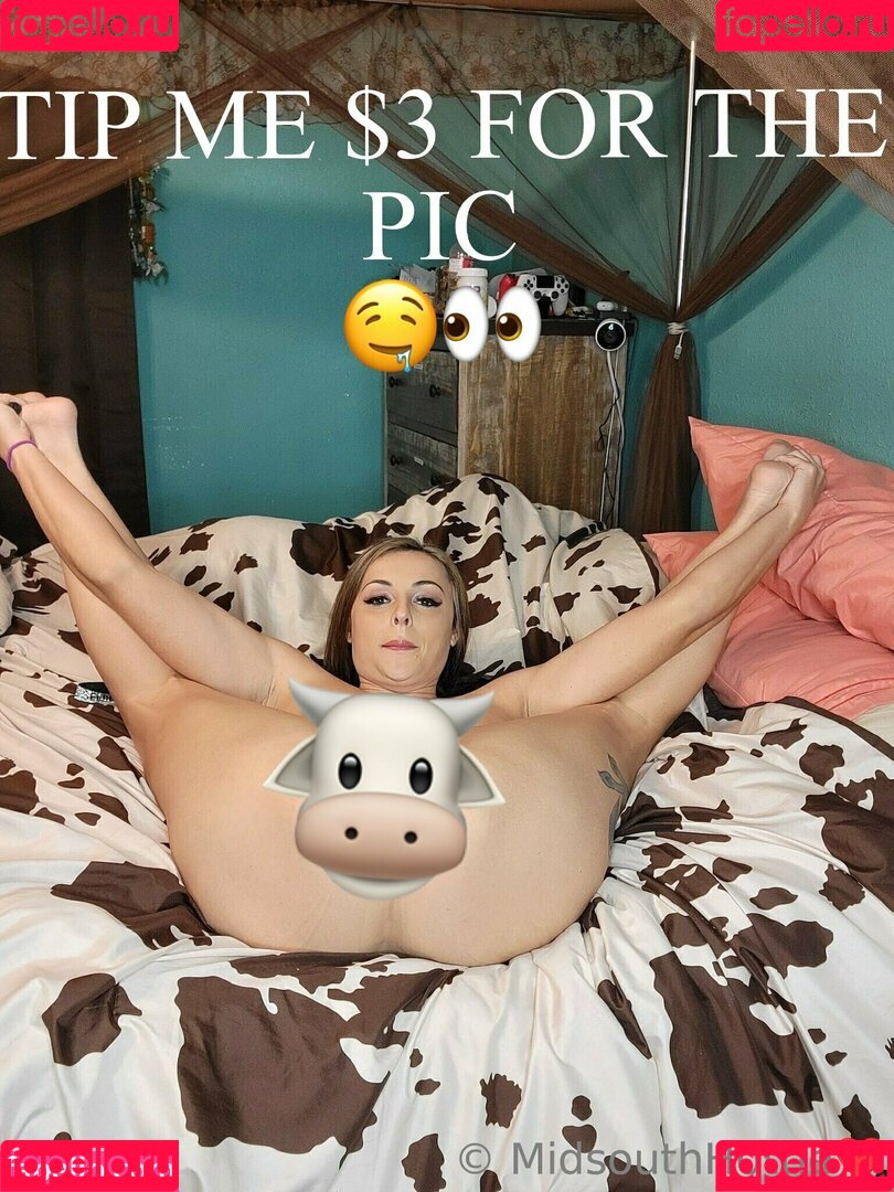 midsouthhottie Nude Onlyfans Photo 15