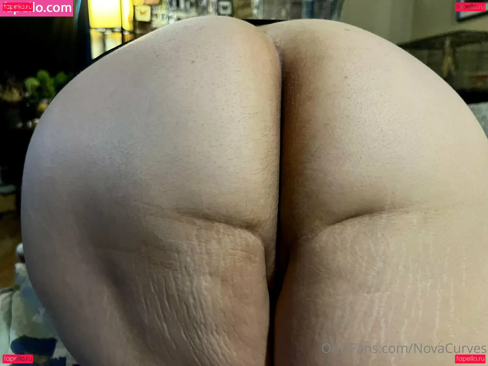 Novacurves Onlyfans Photo Gallery 