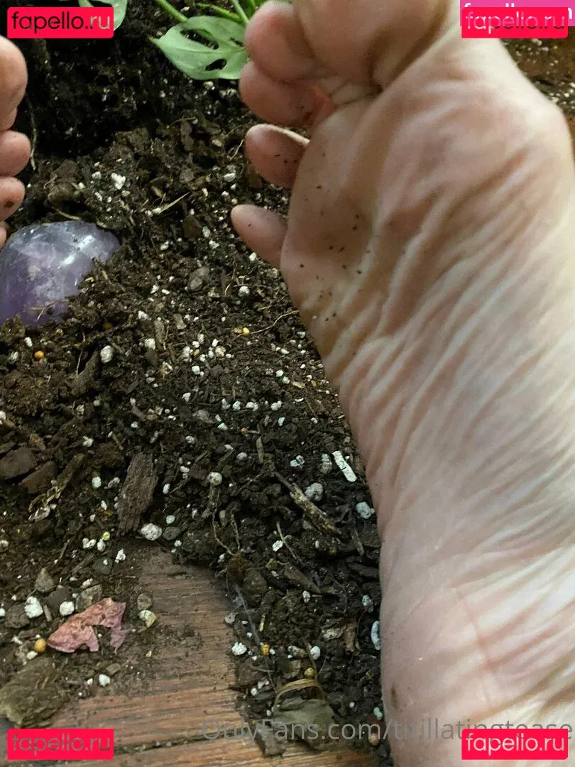 titillatingtease Onlyfans Photo Gallery 