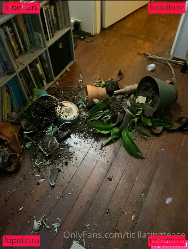 titillatingtease Onlyfans Photo Gallery 