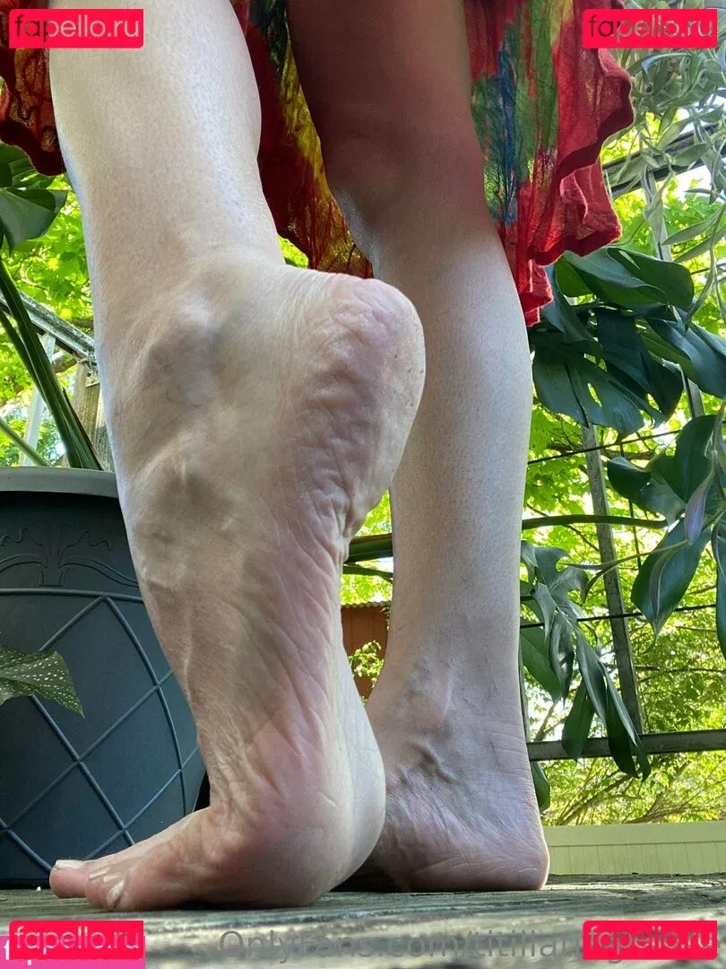 titillatingtease Onlyfans Photo Gallery 