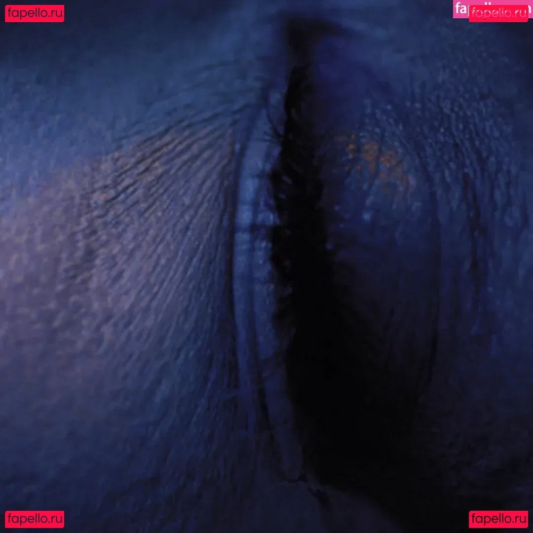 Haley Reed Onlyfans Photo Gallery 