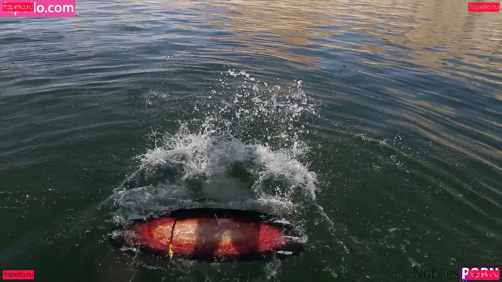 Haley Reed Onlyfans Photo Gallery 