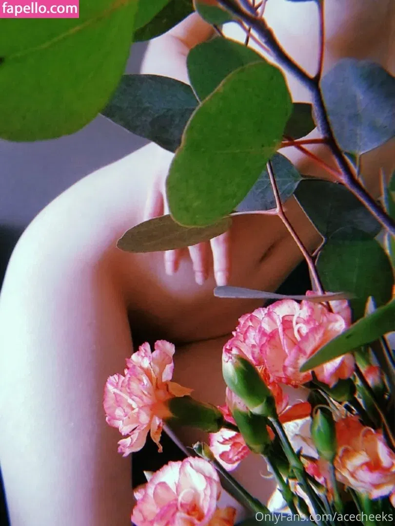 b4insanity Onlyfans Photo Gallery 