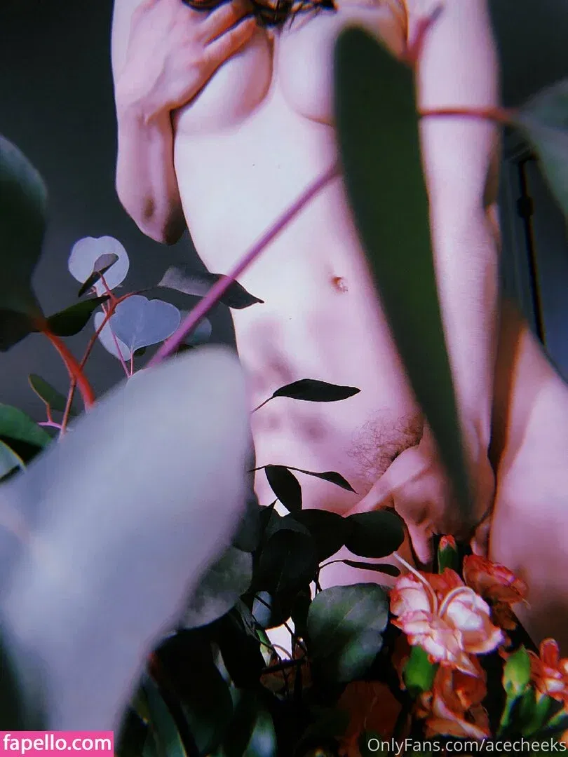 b4insanity Onlyfans Photo Gallery 