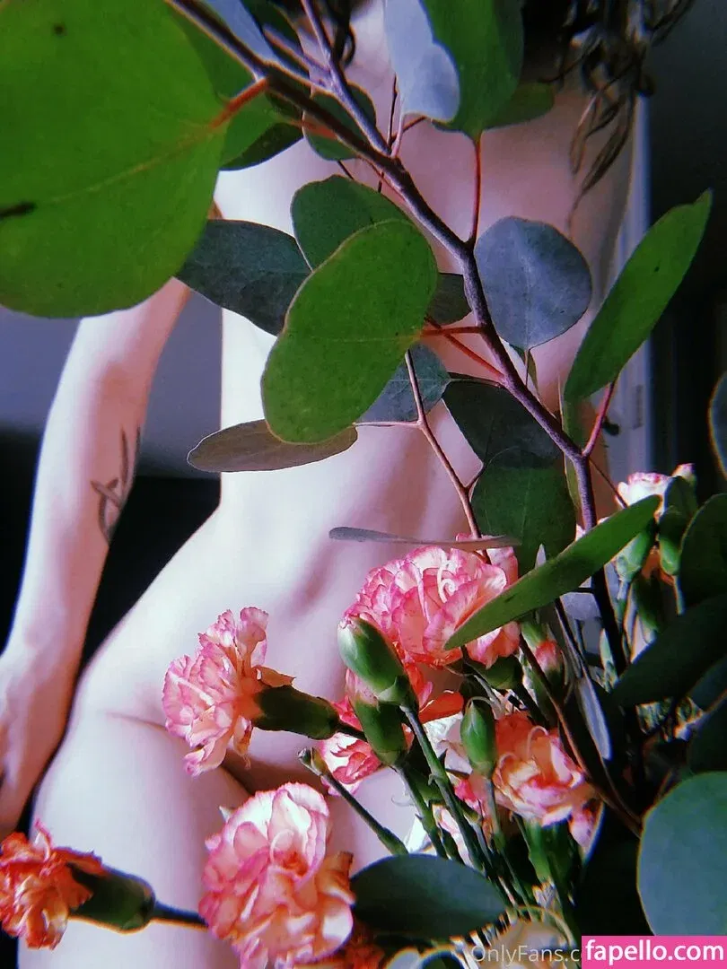 b4insanity Onlyfans Photo Gallery 